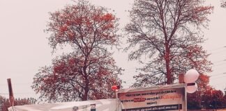 विश्व पृथ्वी दिवस पर ‘सेल्फी विद अमृत सरोवर’ का हुआ आयोजन