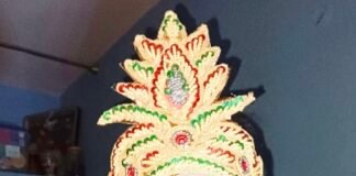 पापा की मैं परी हूं