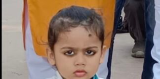 गमले में पौधे हरे-हरे