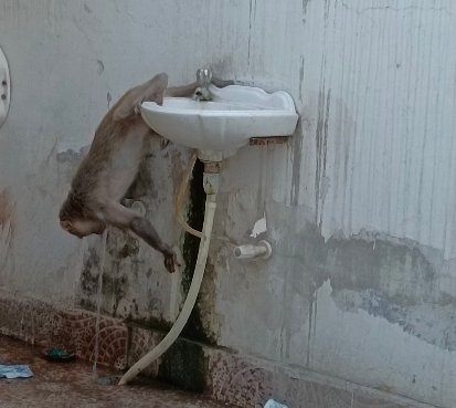 IMG_20230427_082342_copy_413x369