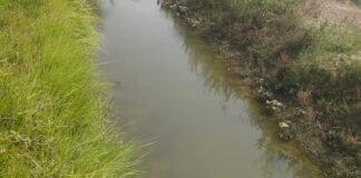 गर्मी में नहर में पानी आने से राहत, किसानों मे खुशी