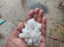 मौसम का प्रकोप: गोरखपुर-संतकबीरनगर में ओलावृष्टि का तांडव, किसानों की फसल खतरे में।