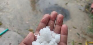 मौसम का प्रकोप: गोरखपुर-संतकबीरनगर में ओलावृष्टि का तांडव, किसानों की फसल खतरे में।