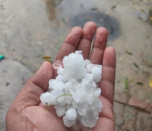 मौसम का प्रकोप: गोरखपुर-संतकबीरनगर में ओलावृष्टि का तांडव, किसानों की फसल खतरे में।