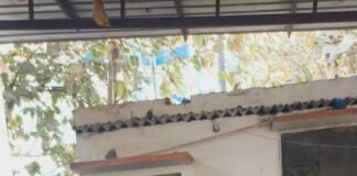 प्रशिक्षु आईपीएस आशना चौधरी ने संभाली गीडा की कमान, अपराधियों को चेतावनी।