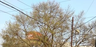 त्योहारों में शरारती तत्वों पर पुलिस का पहरा।