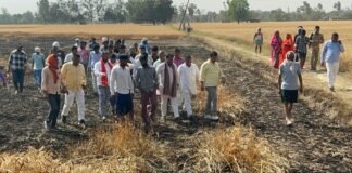 शॉर्ट सर्किट से फसल जलने पर किसानों का दर्द, विधायक ने उठाई आवाज, बिजली विभाग पर लापरवाही का आरोप और कार्रवाई की मांग।