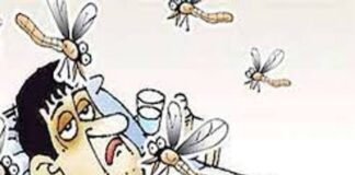 मच्छरों का कहर, ग्रामीण परेशान।