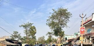 नवरात्रि में शांति और सुरक्षा का संकल्प, पुलिस की पैदल गस्त से महुली में जागा विश्वास।