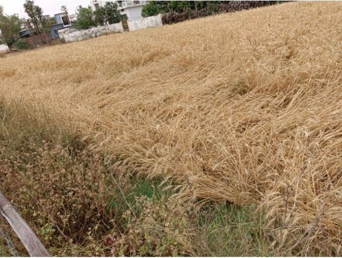 Screenshot_2025_0410_215832