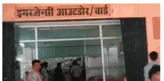 ललितपुर में निरीक्षण के दौरान मधुमक्खियों का हमला, आईएएस सहित 16 घायल।