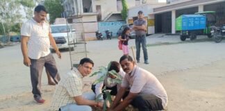 विश्व पर्यावरण दिवस: नाहरपुर चरगवां में उपनिदेशक ने लगाया आम्र का पौधा।