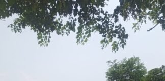 सर्विस लेन बनी कूड़ाघर, प्रशासन की कार्रवाई का इंतजार.