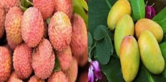 मंडी में आम-लीची की बहार, कीमतों में राहत की उम्मीद