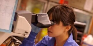 काशी की ज्ञान लैब ने खोले प्राचीन उत्पत्ति के राज, डीएनए से उजागर हुए पूर्वजों के रहस्य।