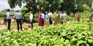 वृक्षारोपण महाभियान 2025 की सफलता के लिए नोडल अधिकारी की बैठक, ‘एक पेड़ माँ-गुरु के नाम’ पर जोर