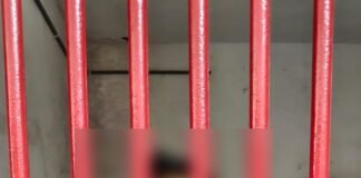 तिवारीपुर पुलिस ने मेडिकल स्टोर से ₹15,000 की चोरी करने वाले आरोपी को 24 घंटे में दबोचा, ₹9,000 बरामद।