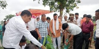 मंडलायुक्त अखिलेश प्रताप सिंह ने अम्मादेई में हरिशंकरी पौधा लगाकर शुरू किया वृक्षारोपण अभियान।