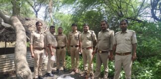 आबकारी विभाग ने 330 किलोग्राम महुआ लहन नष्ट कर पांच पर कार्रवाई, अवैध शराब के खिलाफ अभियान तेज!