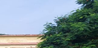 पाली पीएचसी में चिकित्सक और पेयजल की कमी, मरीज परेशान