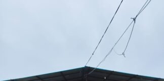 सीडीओ ने गौशालाओं में व्यवस्थाएं दुरुस्त करने के दिए सख्त निर्देश