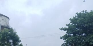 गीडा सेक्टर-13: जैतपुर-बोक्टा मार्ग पर गड्ढों का आतंक, PWD की लापरवाही से जनता परेशान।