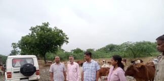 बारिश के बीच गौशालाओं की सख्ती से जांच, DM के निर्देश पर ADM-SDM ने लिया जायजा।