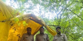 360 किग्रा महुआ लहन नष्ट, अवैध शराब पर रायबरेली में कड़ी कार्रवाई