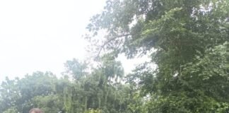 रायबरेली में आबकारी विभाग की बड़ी कार्रवाई, 34 लीटर अवैध कच्ची शराब जब्त, दो गिरफ्तार।