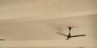 डोहरिया कला: 1942 के शहीदों को भावभीनी श्रद्धांजलि, विधायक प्रदीप शुक्ल ने किया नमन