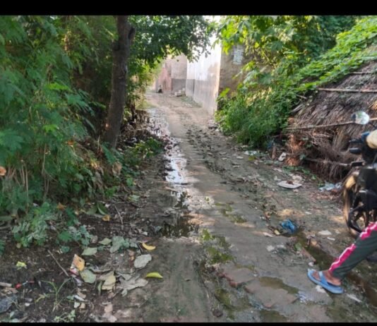 भुवनी में कूड़े का अंबार, सफाई कर्मी नदारद: ग्रामीण परेशान