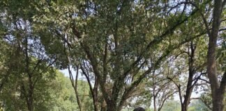 अवैध शराब के ठिकानों पर आबकारी-पुलिस की संयुक्त कार्रवाई