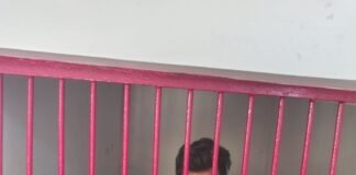 गीडा पुलिस की बड़ी कार्रवाई: गांजा-चरस के साथ दो गिरफ्तार