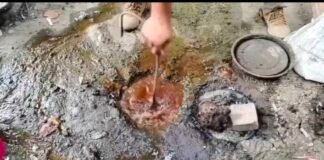 गोरखपुर में अवैध शराब पर कड़ा प्रहार, 20 लीटर शराब जब्त, 420 किलो लहन नष्ट