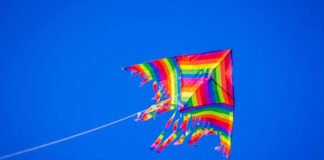 मांझे से कटी डिलीवरी ब्वॉय की गर्दन, मौत: सावधानियां और अपील।