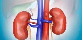 किडनी निकालने के आरोपों में नया मोड़, जांच में दोनों किडनी मौजूद