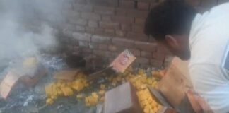 मिलावटखोरों पर फूड विभाग का प्रहार: चौरीचौरा-सहजनवा में 260 किलो एक्सपायरी सोनपापड़ी नष्ट, 40 क्विंटल तेल सीज