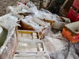 मिलावटी पनीर बनाने वाली डेयरी का लाइसेंस निलंबित, 13 कुंतल दूषित पनीर मौके पर नष्ट