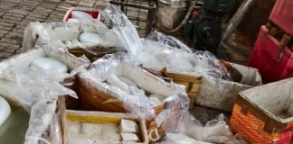 मिलावटी पनीर बनाने वाली डेयरी का लाइसेंस निलंबित, 13 कुंतल दूषित पनीर मौके पर नष्ट