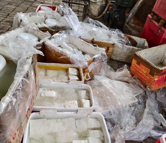 मिलावटी पनीर बनाने वाली डेयरी का लाइसेंस निलंबित, 13 कुंतल दूषित पनीर मौके पर नष्ट