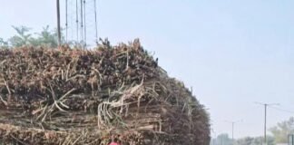 ओवरलोड गन्ना वाहनों पर सख्ती: बस्ती पुलिस ने 12 ट्रक-ट्रालियों का काटा चालान