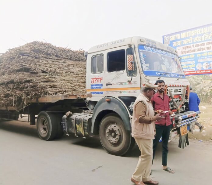 FB_IMG_1765285106438