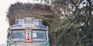 कोहरे से सड़क दुर्घटनाओं की रोकथाम के लिए डीएम कृत्तिका ज्योत्स्ना के सख्त निर्देश, हाईवे पर चालान अभियान