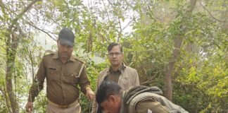 रायबरेली: अवैध शराब के ठिकानों पर बड़ी छापेमारी, 94 लीटर कच्ची शराब बरामद, 600 किग्रा लहन नष्ट, 4 मुकदमे दर्ज