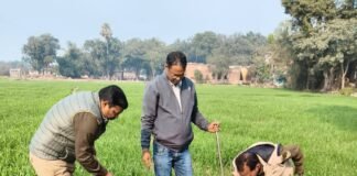 आबकारी- पुलिस की संयुक्त कार्रवाई: 250 किलो महुआ लहन नष्ट, अवैध शराब कारोबारियों में दहशत