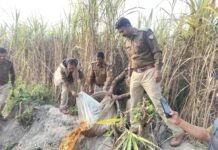 होली से पहले सख्ती! संतकबीरनगर में 7 लीटर अवैध कच्ची शराब बरामद, 165 किलो महुआ लहन मौके पर नष्ट – प्रशासन ने बढ़ाई कार्रवाई