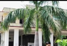 पीजीटी भर्ती परीक्षा को लेकर डीएम-एसपी का सख्त रुख, परीक्षा केंद्रों का किया निरीक्षण
