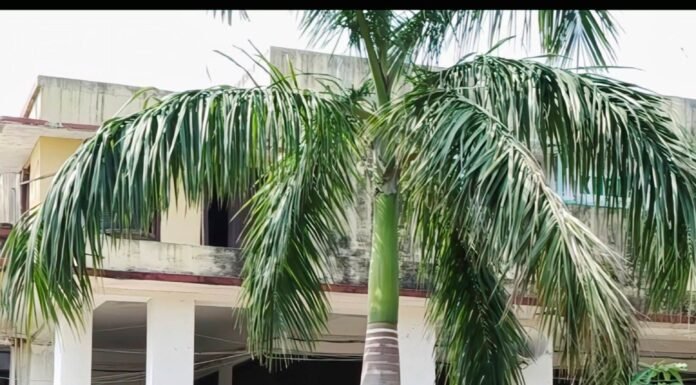 पीजीटी भर्ती परीक्षा को लेकर डीएम-एसपी का सख्त रुख, परीक्षा केंद्रों का किया निरीक्षण