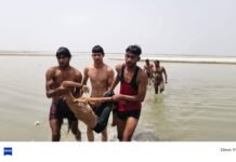 सरयू नदी में दर्दनाक हादसा: स्नान के दौरान भाई-बहन समेत दो बच्चों की डूबकर मौत, गांव में मातम