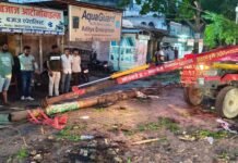 आंधी का कहर: कंपनी बाग से गांधीनगर तक तबाही, पेड़-पोल और होर्डिंग गिरे, प्रशासन की तत्परता से टला बड़ा हादसा